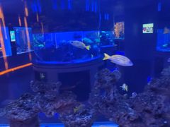 -上和臻品中国菜(花园街店)