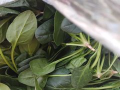 -兰陵农贸市场(新世界花苑店)
