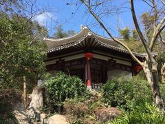 -河源客天下-温泉小镇