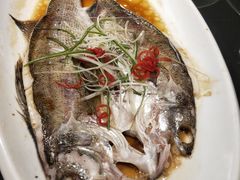 -水岸小城故事(堤口路店)