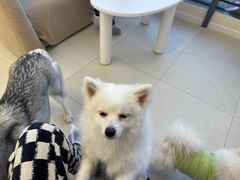 -怪兽屋·羊驼·猫咖·狗咖(俊华广场店)