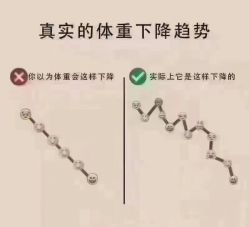 -丽减美瘦吧减肥