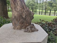 -东莞植物园