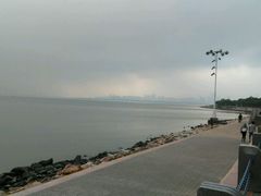 -宝安西湾红树林湿地公园