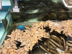 -盒马鲜生(财富中心店)