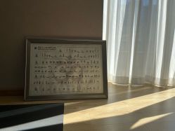 -酉嘉瑜伽YO+YOGA