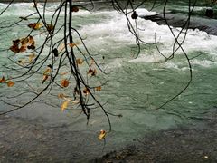 -宣兔头(马家场店)