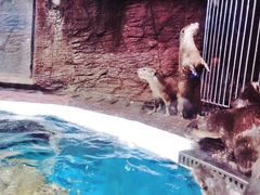 -成都浩海立方海洋公园