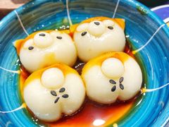 柴犬团子-逗柴咖啡屋·狗咖猫咖宠物桌游