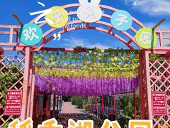 景点-稻香湖景欢乐岛温泉城堡