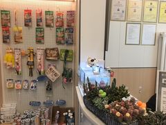 -瑞派·关忠动物医院·猫专科·犬专科(三环新城店)