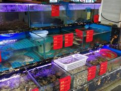 水产区-金海湾海鲜排档(朱家尖店)
