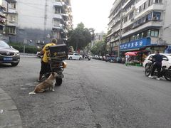 -盘飧市(春熙路店)