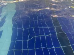 -梧桐阳光国际游泳健身会所(亚运村店)