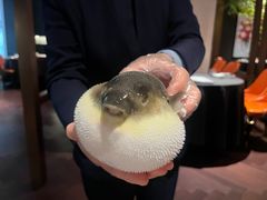 -肆月河豚·淮扬菜·湘菜(华天店)