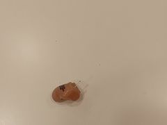 -安湃声助听器(密云店)