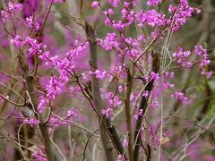 -天台山赤城山景区