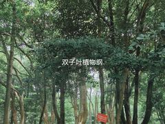-杭州植物园