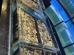 -九月海·海鲜自助(世纪东方店)