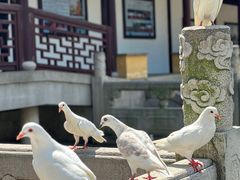 -重元寺香积厨素斋馆