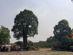 -韩湘水博园