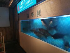-筱爷叔·上海传统手工菜(玉树路店)