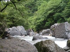 -石台牯牛降景区