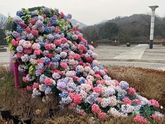-白马涧龙池景区
