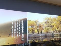 -西域胡氏大盘鸡(谈固店)