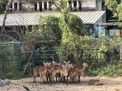 -宁波野生动物园