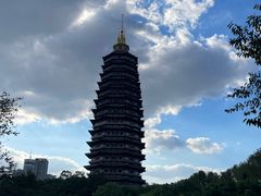 -红梅公园