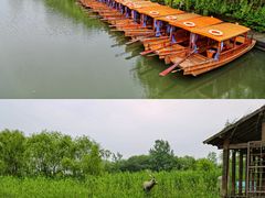 -溱湖国家湿地公园