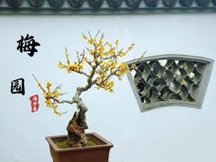 -无锡梅园公园