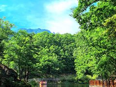 -洛阳白云山景区