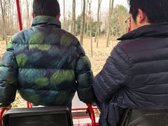 -合肥滨湖国家森林公园