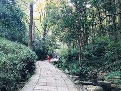 -虎跑公园
