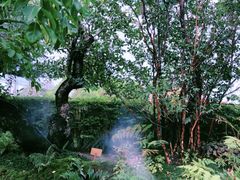 -Chom Cafe and Restaurant