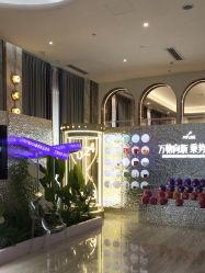 -深圳美莱医疗美容医院