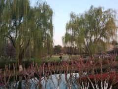 -白塘生态植物园