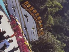 -西双版纳原始森林公园