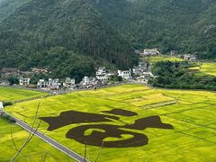 -万峰林风景区