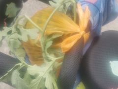 -江杨农产品批发市场