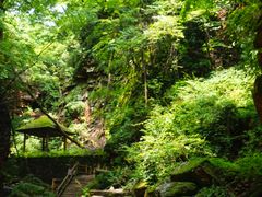 -五女峰国家森林公园