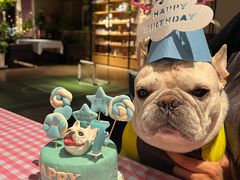 -百好乐宠物友好餐厅(朝外大街店)