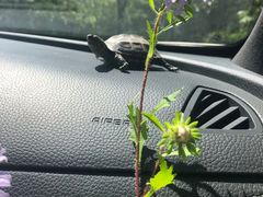 -玉渡山风景区-售票处