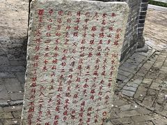 -上海佘山国家森林公园天马山园