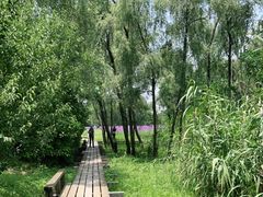 -西溪国家湿地公园