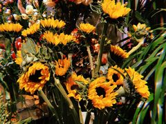 -植物学家的女儿(北马道巷店)