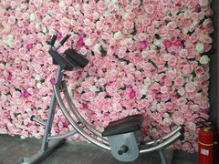 器械区-UltraForce超源健身私教工作室(长楹天街精品店)