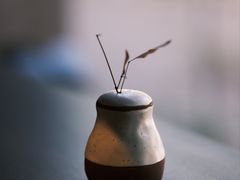 -溯洄咖啡VORTEX COFFEE